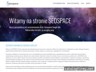SEOSPACE Rafał Kita screen