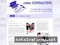 Cobo Consulting